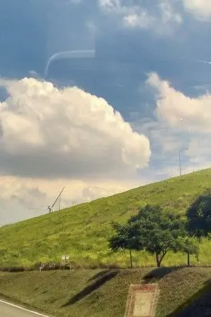 ปกนิยาย ราบราวเซีย