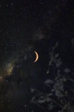 ปกนิยาย [SF/OS] Moonstruck – BTS ʕ•㉨•ʔ