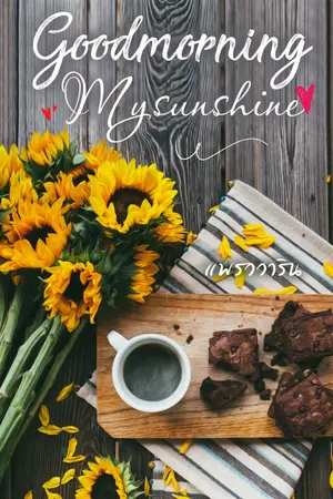 ปกนิยาย Good Morning My Sunshine By แพรววาริน