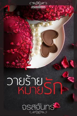 ปกนิยาย