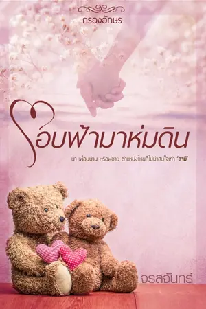 ปกนิยาย