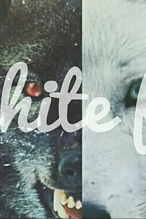 ปกนิยาย [ BTS ] White fur  ll Minga