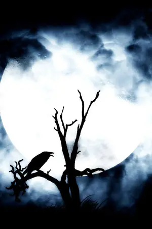 ปกนิยาย Story of Human