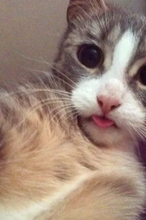 ปกนิยาย สรุปเนื้อหาชีววิทยา ม.4-6