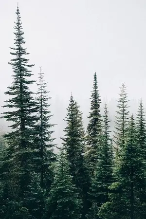 ปกนิยาย ระบบฟื้นฟูโลก