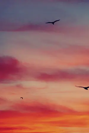 ปกนิยาย {exo*fiction} white ribbon and rosy cheek ; chanhun