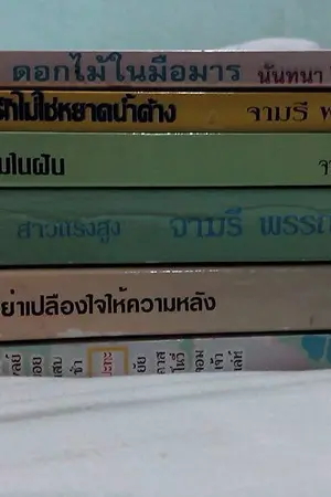 ปกนิยาย