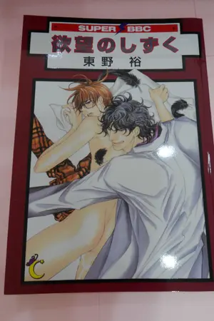 ปกนิยาย ขายการ์ตูนมือสอง (ทั่วไป / yaoi / uncut)