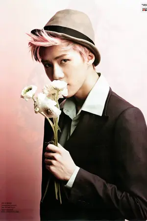 ปกนิยาย 【FICEXO SNSD 】แ พ้ {SEHUN❤TAEYOEN }