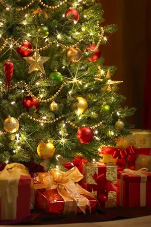 ปกนิยาย [OS] With you, Sunggyu Hyung [GyuMyung]