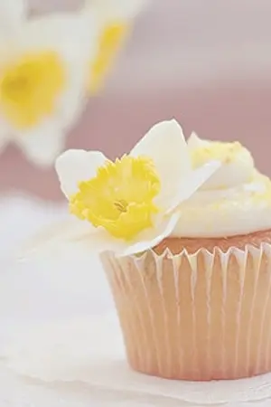 ปกนิยาย {EXO} Feuille d' Album