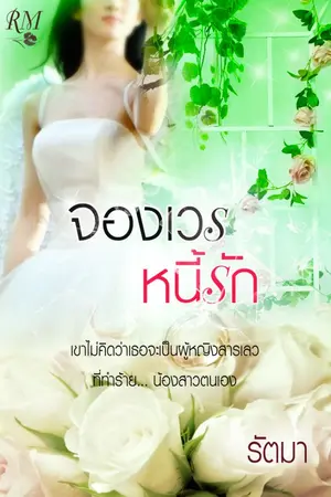 ปกนิยาย