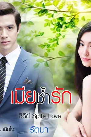 ปกนิยาย