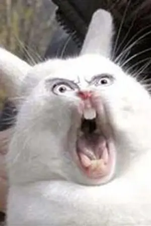 ปกนิยาย (bts) bad bunny ห้องนี้กระต่ายโหด! #ของรักของเจค