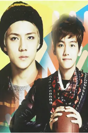 ปกนิยาย [Fic EXO] Stun!.... งงอะไร ให้งงงวย