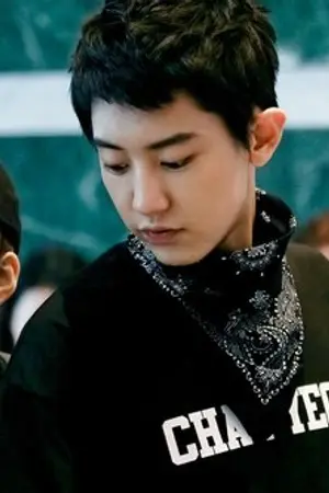 ปกนิยาย SF-EXO Master Degree (ChanMin)