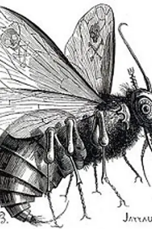 ปกนิยาย [Real World Online]