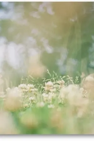 ปกนิยาย [ FIC-INFINITE ] S H A D O W | SUNGGYU x SEONGYEOL