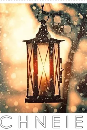 ปกนิยาย [ FIC-INFINITE ] SCHNEIEN ✿ MYUNGYEOL