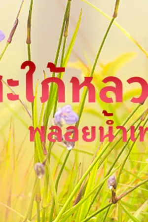 ปกนิยาย