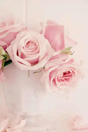 ปกนิยาย B E A U T Y AND S T R E N G T H ❀ WAN-WAN V.2