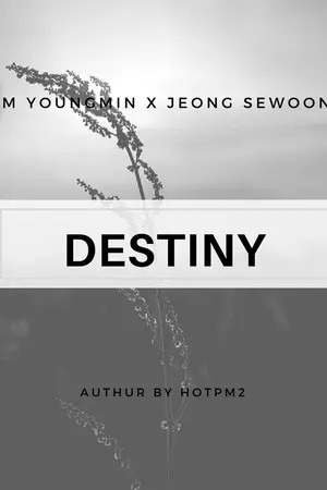 ปกนิยาย DESTINY : YOUNGMIN X SEWOON [MINWOON] #มินอุน