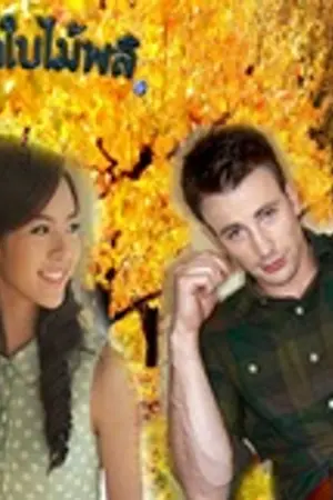 ปกนิยาย อดีตรักใบไม้พลิ