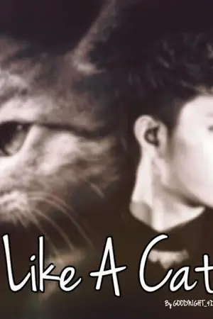 ปกนิยาย [SF - JunSeung]  Like A Cat.