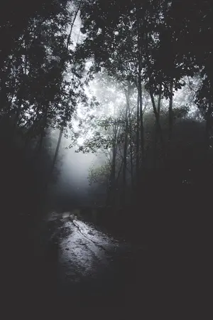 ปกนิยาย ค่ำคืนในยามราตรี