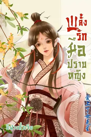 ปกนิยาย