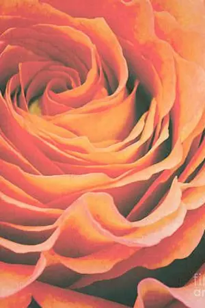 ปกนิยาย รับบทเป็นคนใช้ (SF : MarkBam)