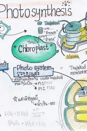 ปกนิยาย Lecture ชีวะ ม.ปลาย ม.5