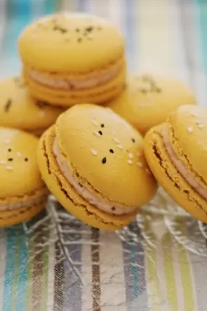 ปกนิยาย macaroon house ขนมหวานสื่อรัก