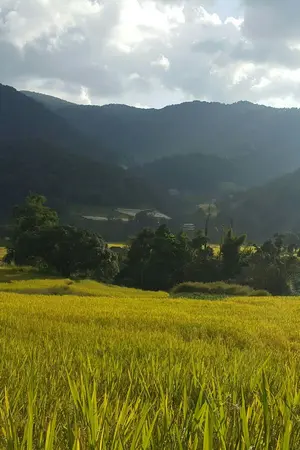 ปกนิยาย รักในรอยหยัก