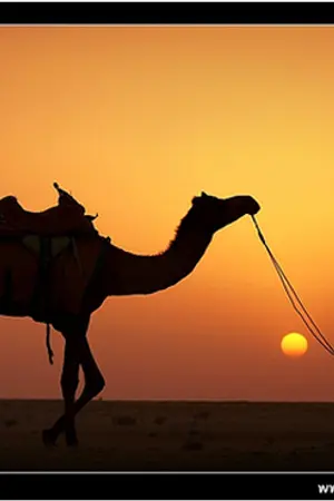 ปกนิยาย เสน่หาจากผืนทราย .....(Yaoi)