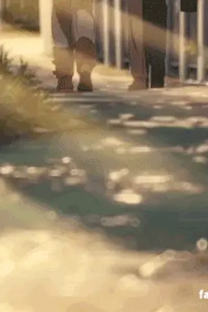 ปกนิยาย หยุด [BL] Reborn : บอสฉันไม่ปกติ [Tsunayoshi x OC]