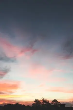 ปกนิยาย the beauty of silence, the smell of you (HUNHAN)