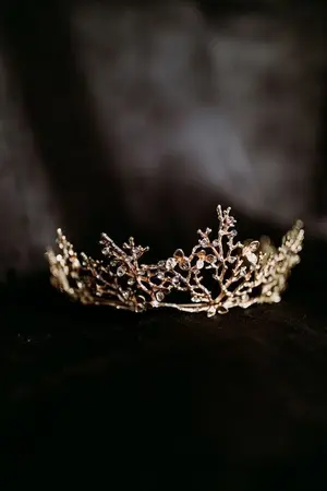 ปกนิยาย กรงขังของเจ้าหญิง