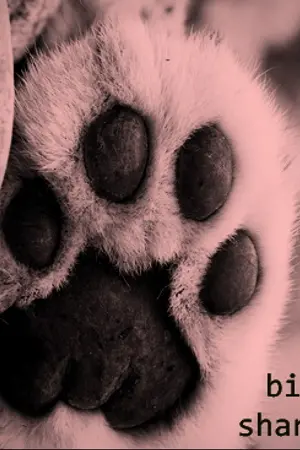 ปกนิยาย [fic BAP] Big Paws Sharp Claws