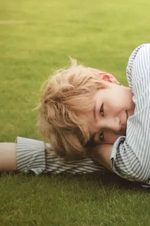 ปกนิยาย [FIC BTS AU] Let me be yours : namgi