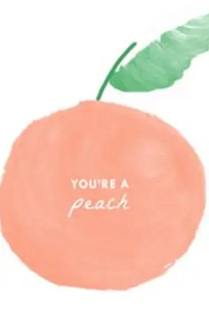 ปกนิยาย [EXO] OS/SF บันทึกสีลูกพีช [chanbaek]