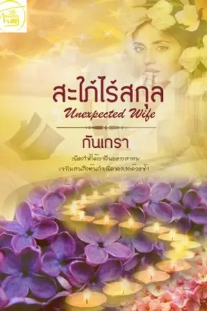 ปกนิยาย สะใภ้ไร้สกุล [Unexpected Wife]