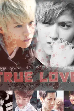 ปกนิยาย [EXO] TRUE LOVE [KRISLU,KAIDO,CHANBAEK]