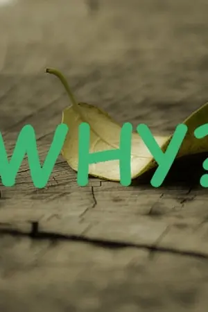 ปกนิยาย FIC [EXO] Why?(KrisLay) -END-