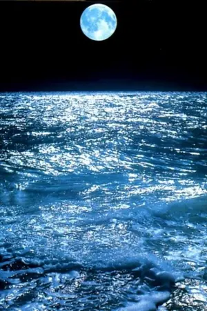 ปกนิยาย First Love of Ocean ปฐมบทสงครามรักร้าย