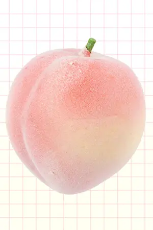 ปกนิยาย [Seventeen OS/SF] Pale Peach