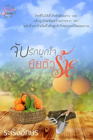 ปกนิยาย