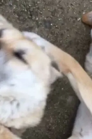 ปกนิยาย จะไม่เลิกกันแล้วครับผม!