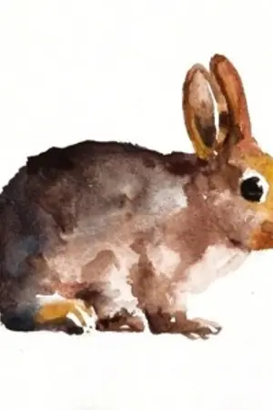 ปกนิยาย the critique บ้านวิจารณ์นิยาย