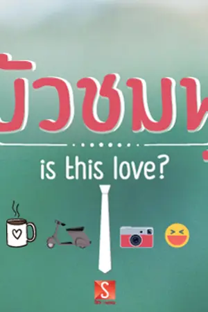 ปกนิยาย บัวชมพู Is this love (เรียบเรียงใหม่)